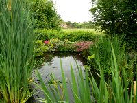 Mike's pond