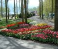 Floriade