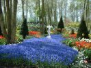 Floriade
