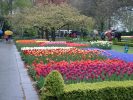 Keukenhof