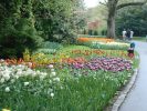 Keukenhof