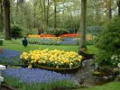 Keukenhof