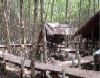 Preserved Guerilla camp