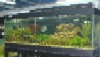 Furnished tank